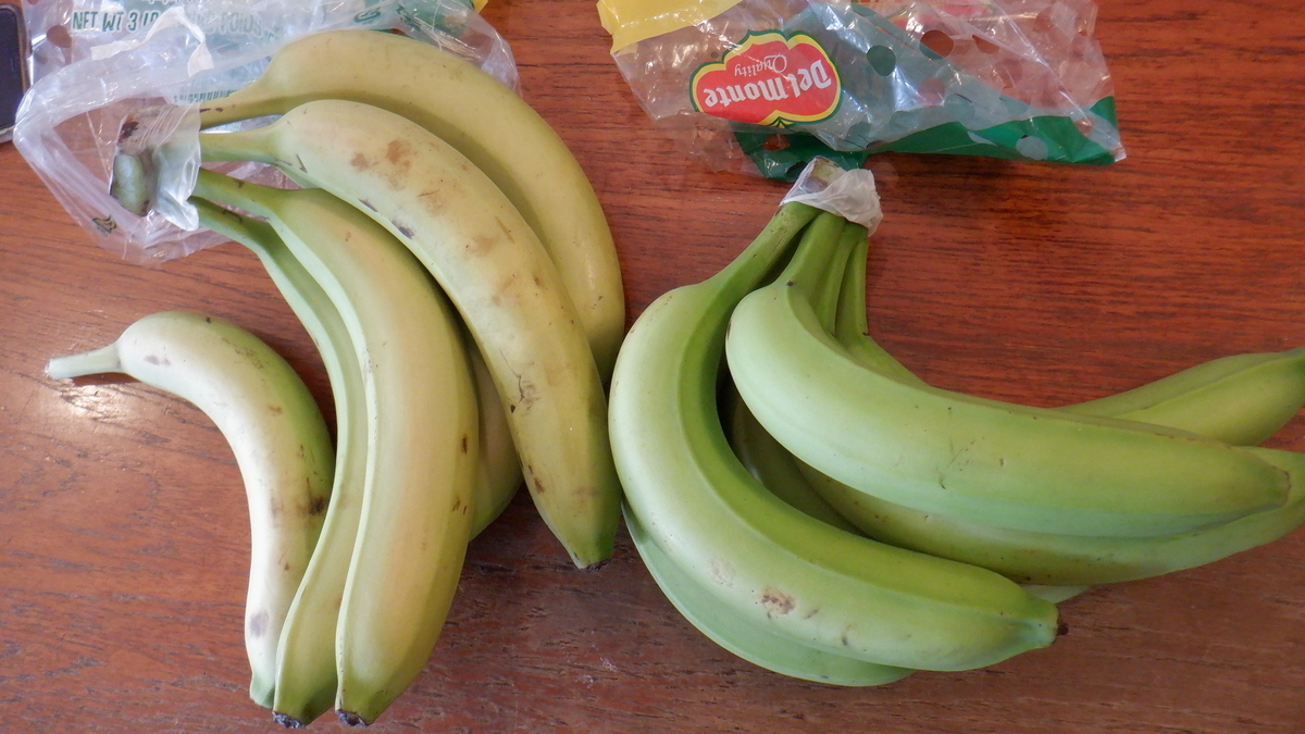 f:id:cafelegume:20220104202746j:plain