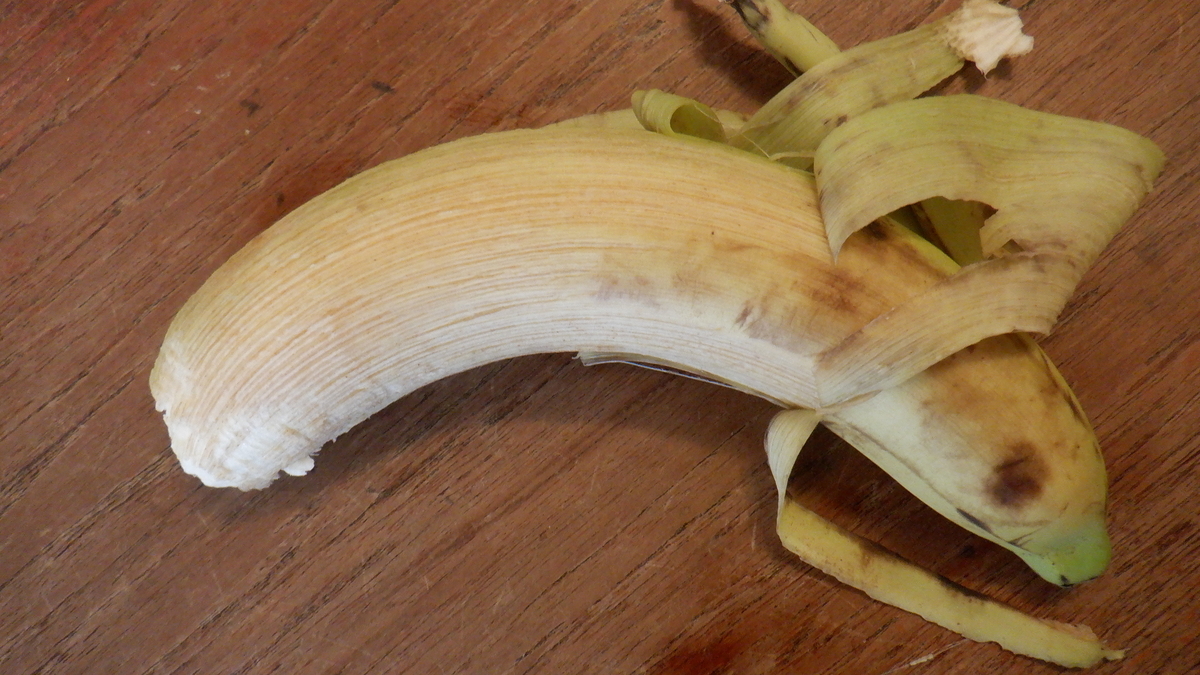 f:id:cafelegume:20220104203329j:plain