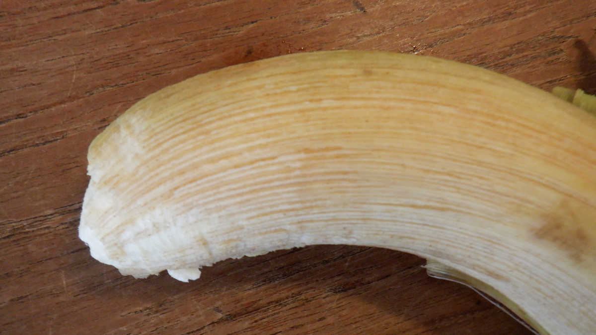 f:id:cafelegume:20220104203515j:plain