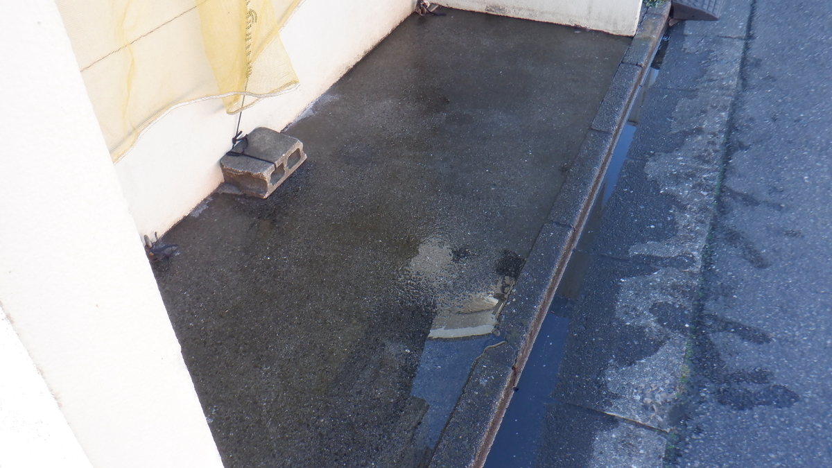 f:id:cafelegume:20220104211458j:plain