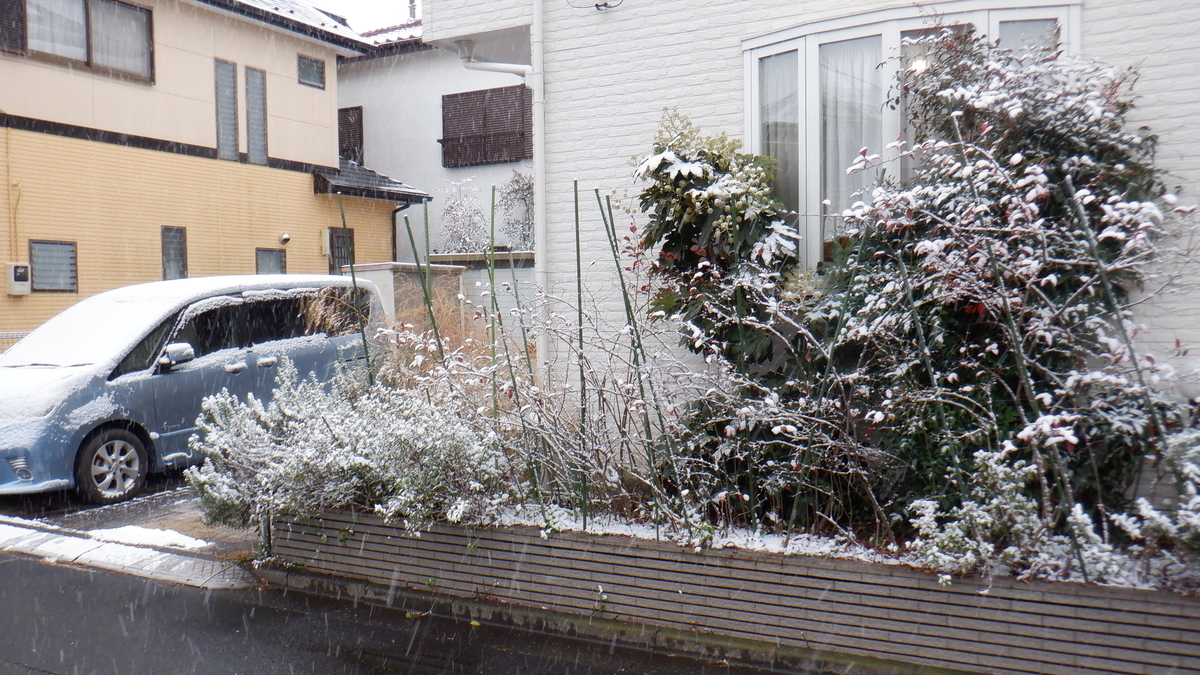 f:id:cafelegume:20220106203158j:plain