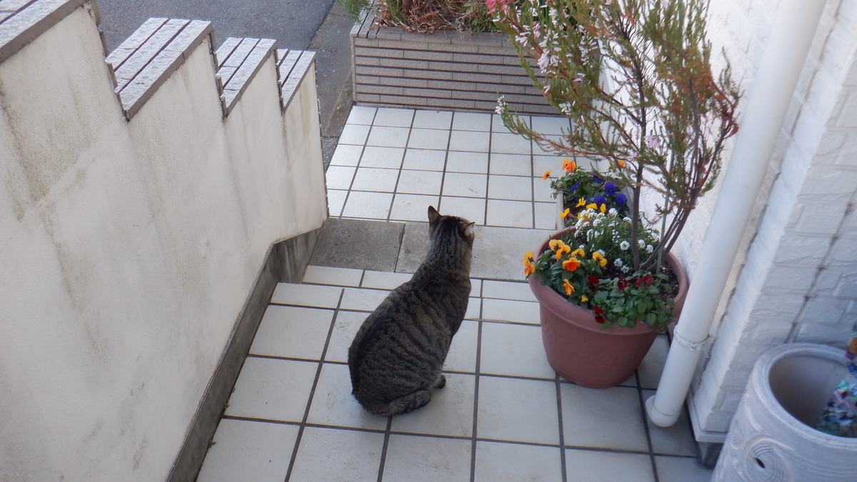 f:id:cafelegume:20220107213500j:plain