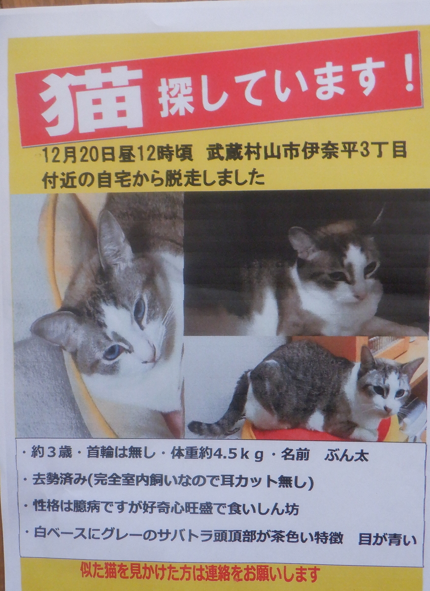 f:id:cafelegume:20220109202021j:plain