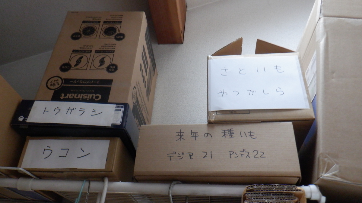 f:id:cafelegume:20220111220502j:plain