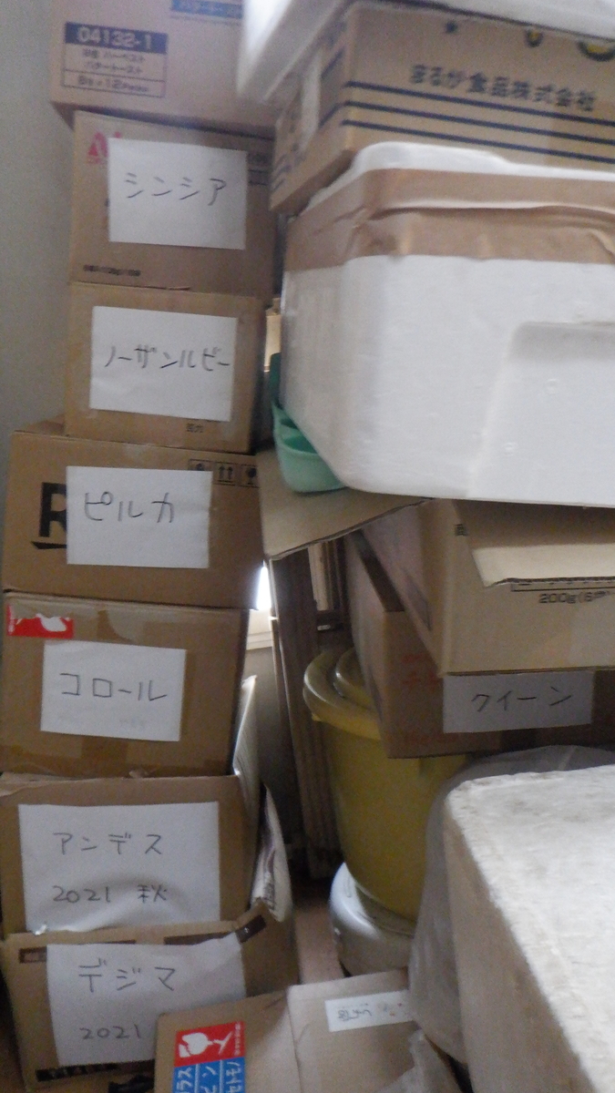 f:id:cafelegume:20220111221009j:plain