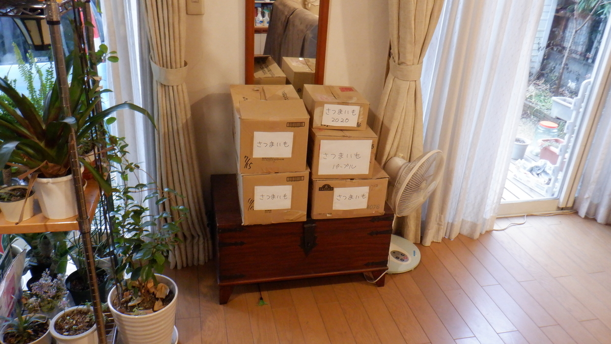 f:id:cafelegume:20220111222818j:plain