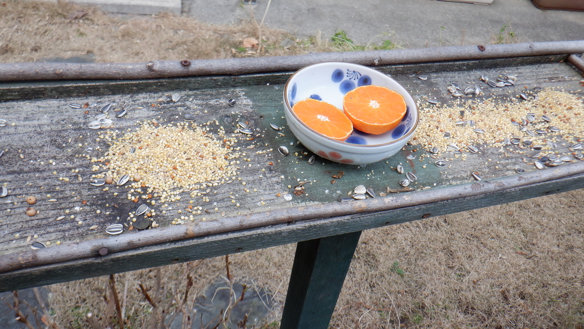 f:id:cafelegume:20220119191640j:plain