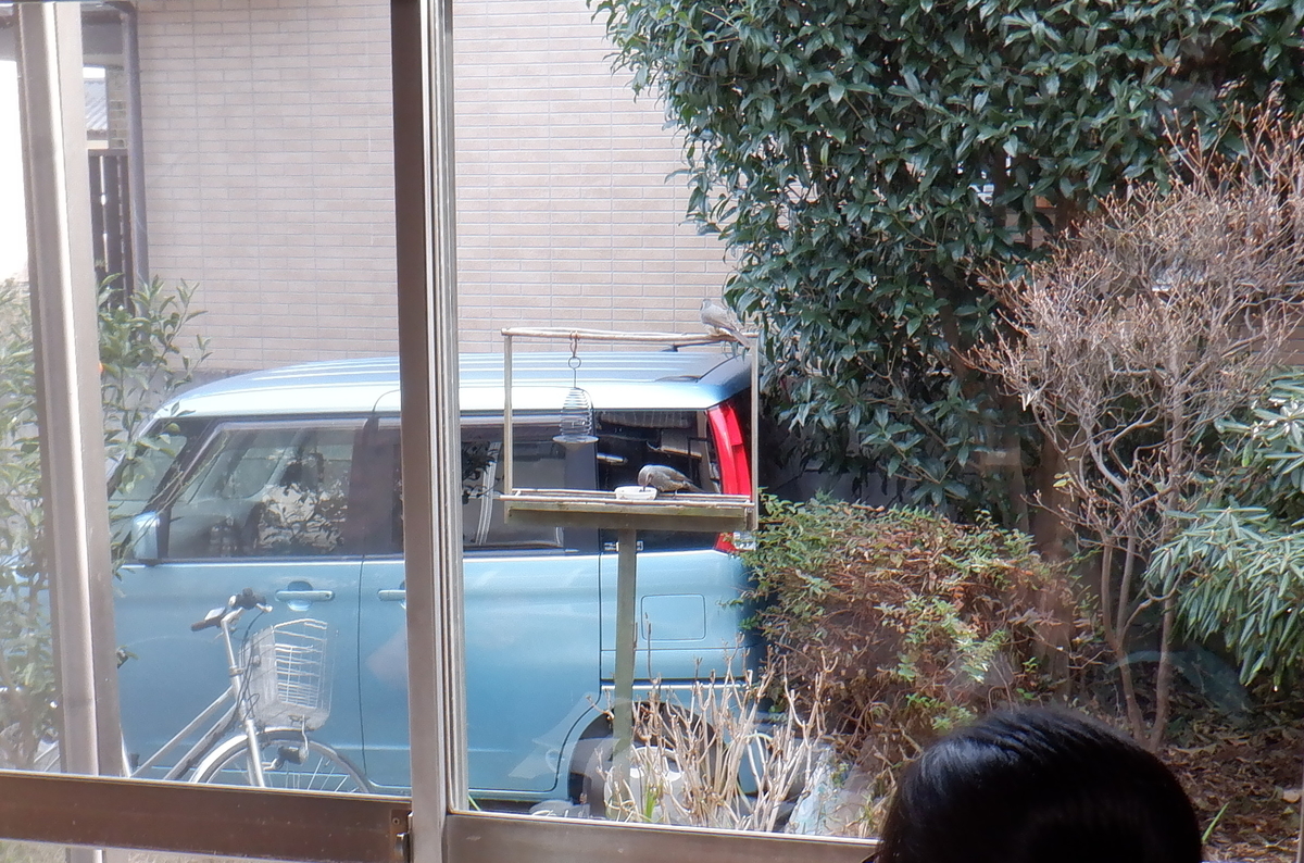 f:id:cafelegume:20220119192250j:plain