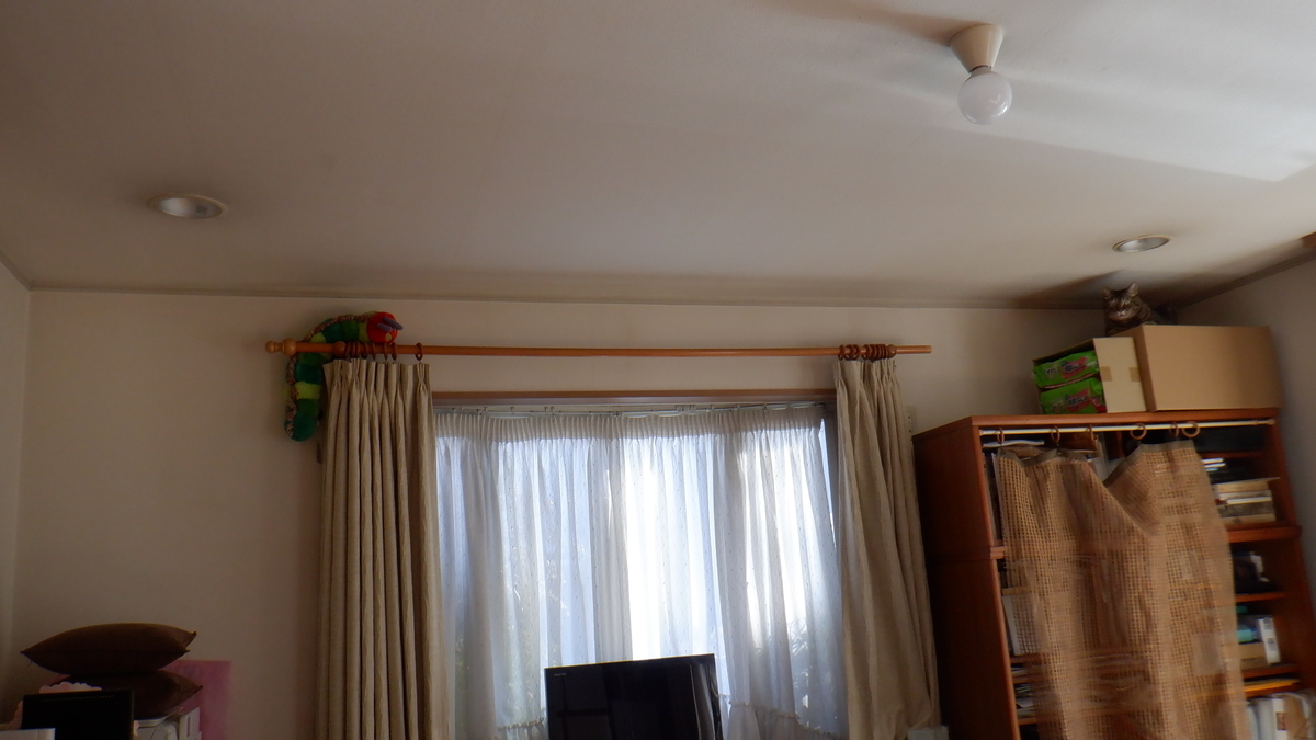 f:id:cafelegume:20220120223218j:plain