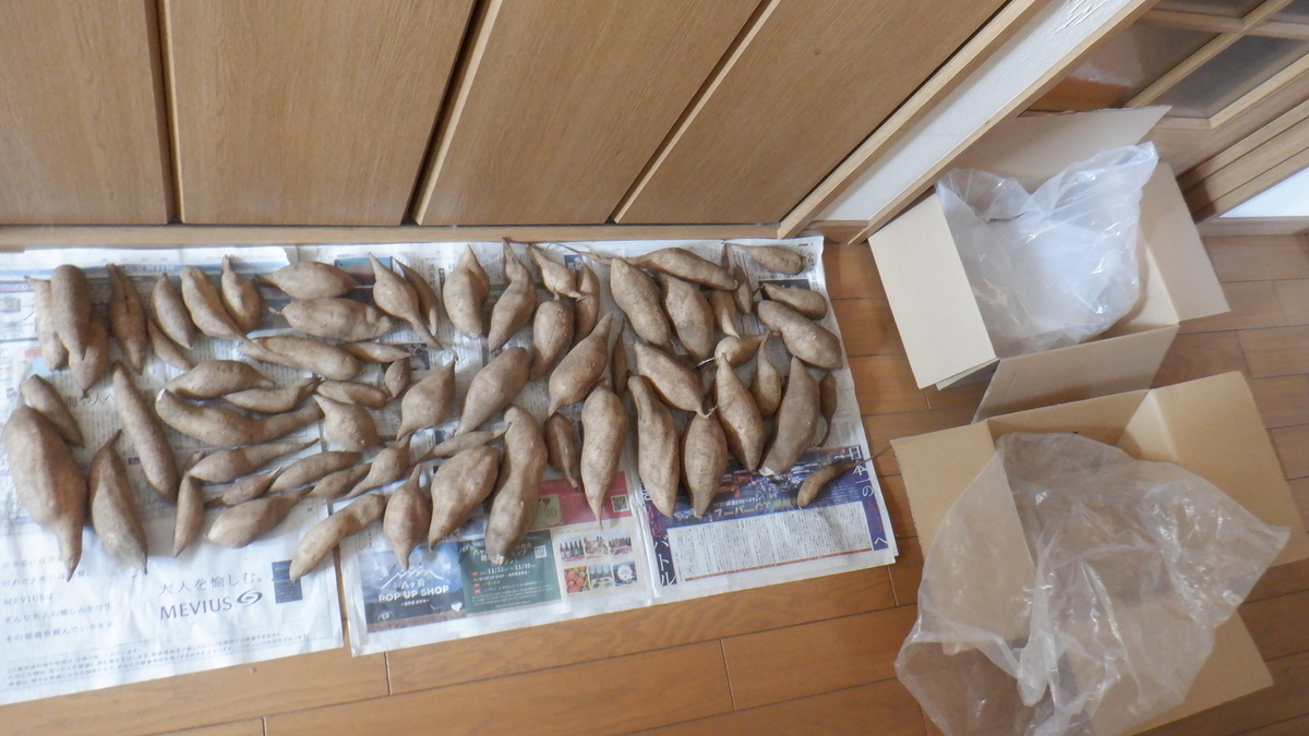 f:id:cafelegume:20220126212648j:plain