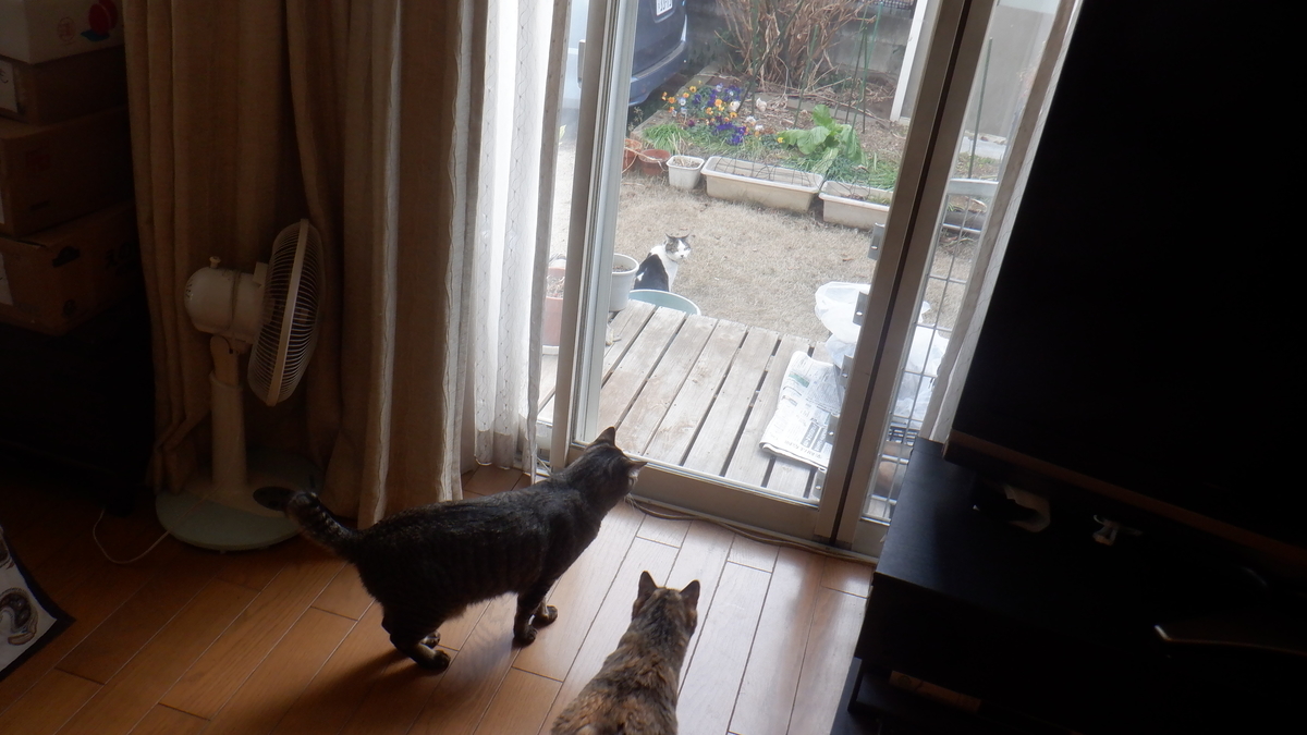 f:id:cafelegume:20220128223829j:plain
