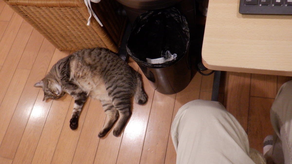 f:id:cafelegume:20220131214119j:plain