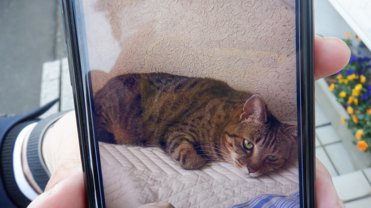 f:id:cafelegume:20220131233515j:plain