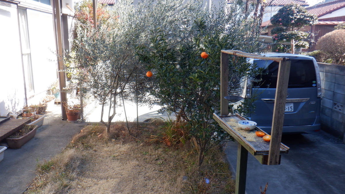 f:id:cafelegume:20220201222330j:plain