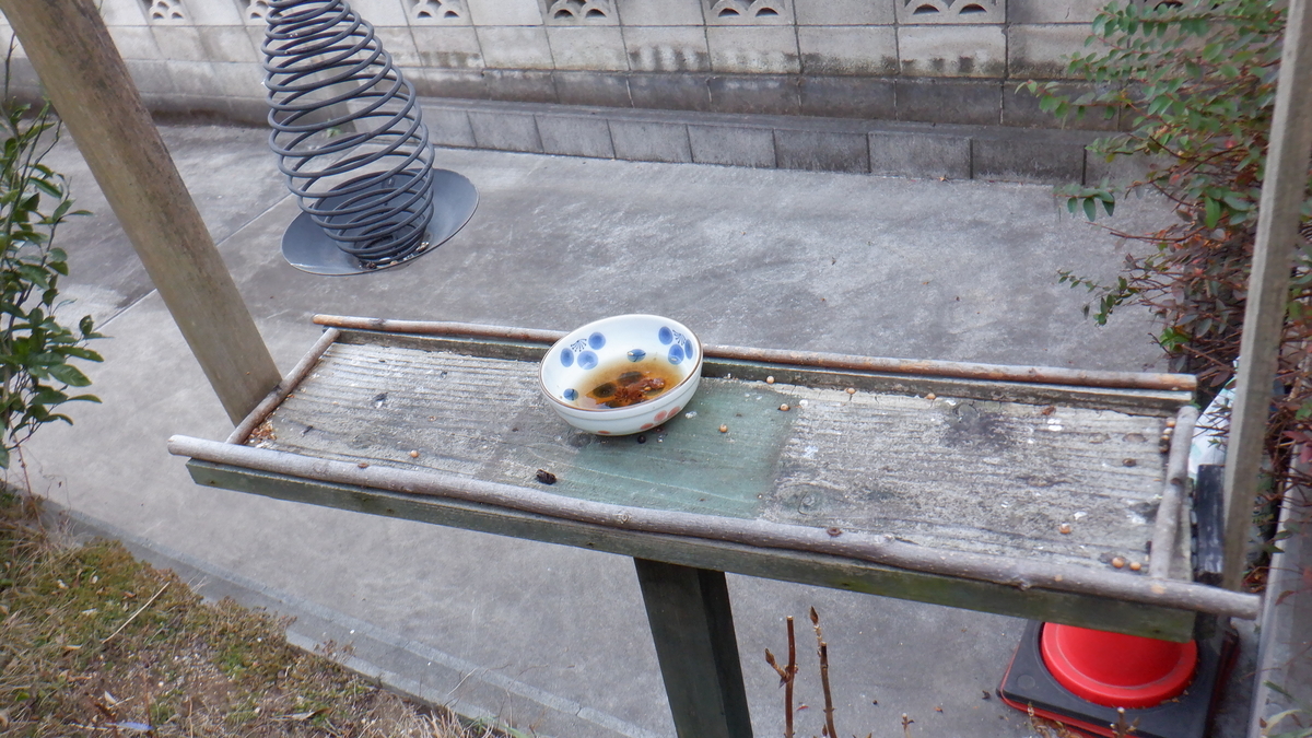 f:id:cafelegume:20220203222034j:plain