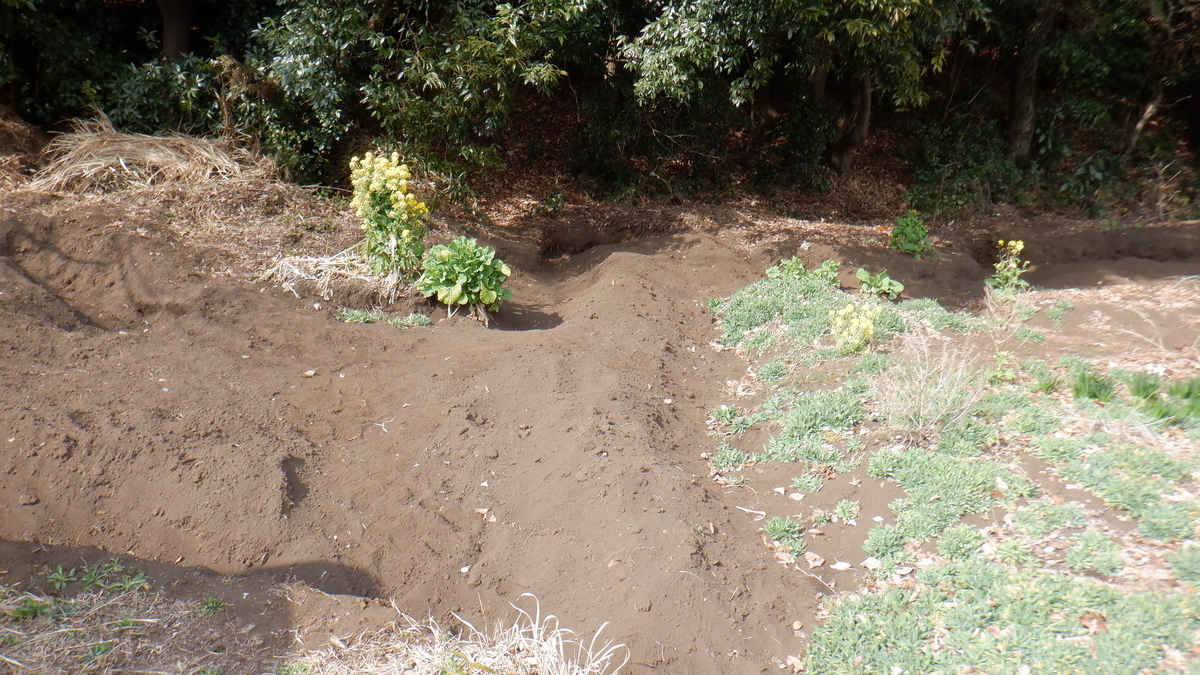 f:id:cafelegume:20220310205650j:plain