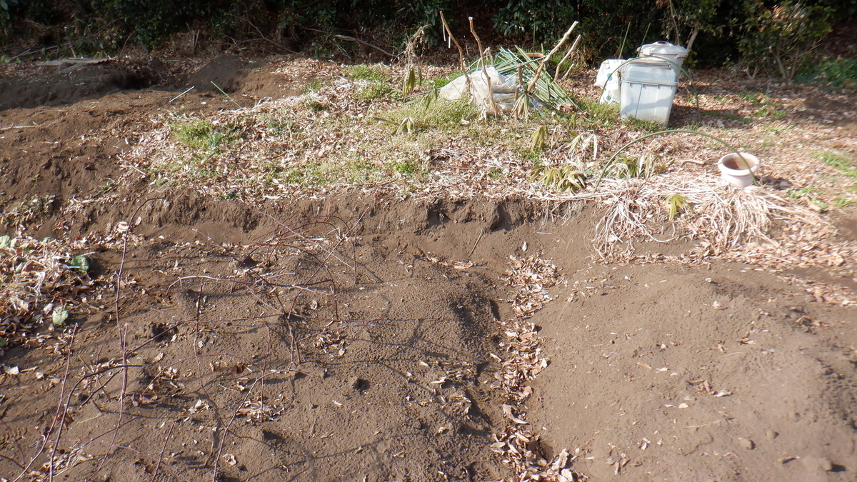 f:id:cafelegume:20220310205802j:plain