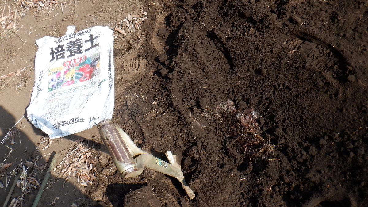 f:id:cafelegume:20220310210819j:plain