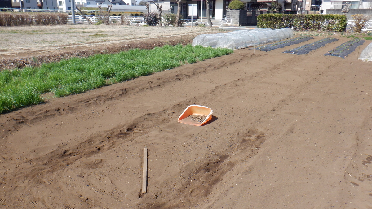 f:id:cafelegume:20220314215955j:plain