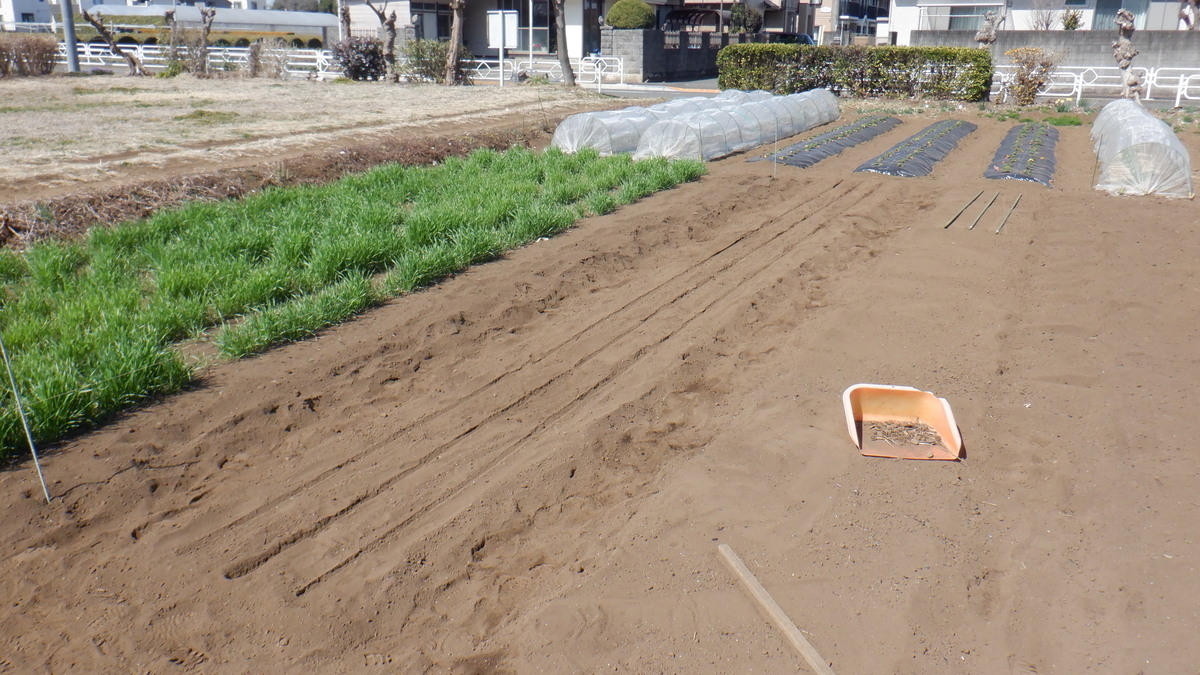 f:id:cafelegume:20220314220146j:plain