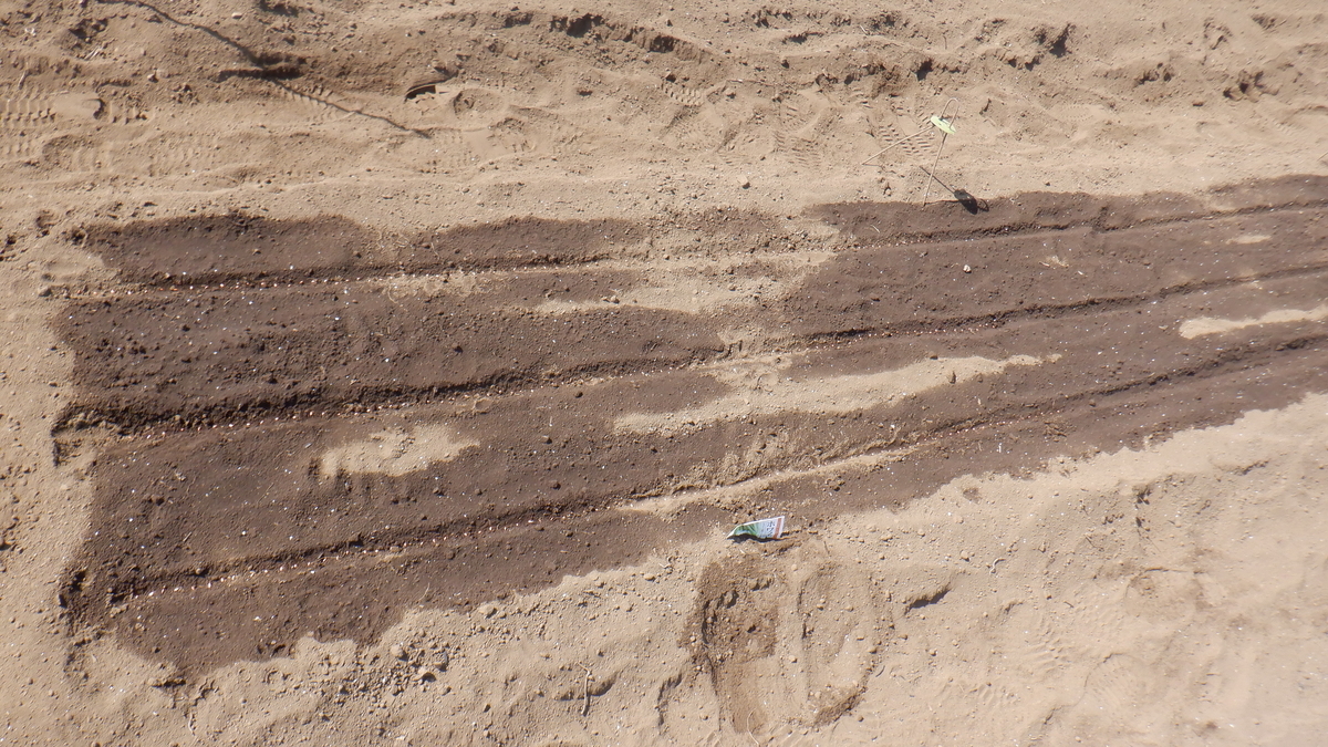 f:id:cafelegume:20220314220722j:plain