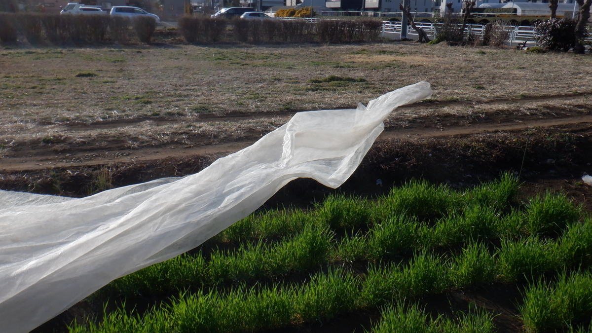 f:id:cafelegume:20220314221619j:plain