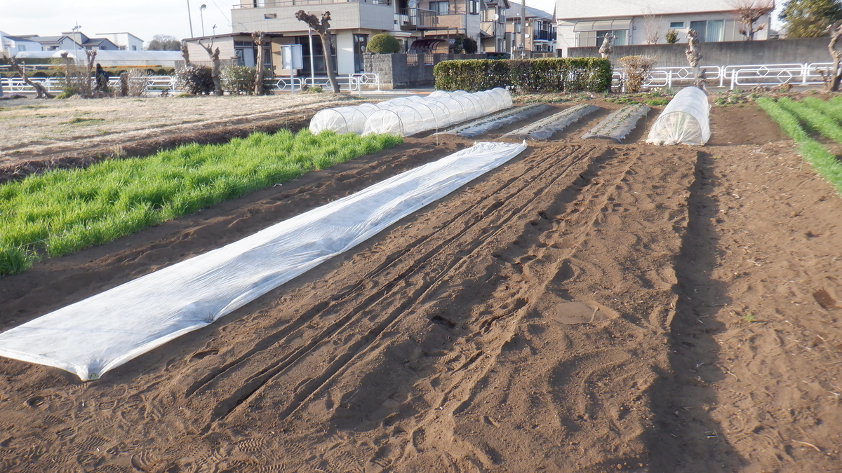 f:id:cafelegume:20220314222659j:plain