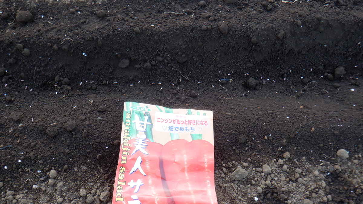 f:id:cafelegume:20220314223324j:plain