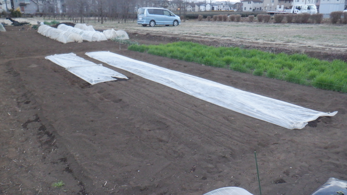 f:id:cafelegume:20220314223946j:plain