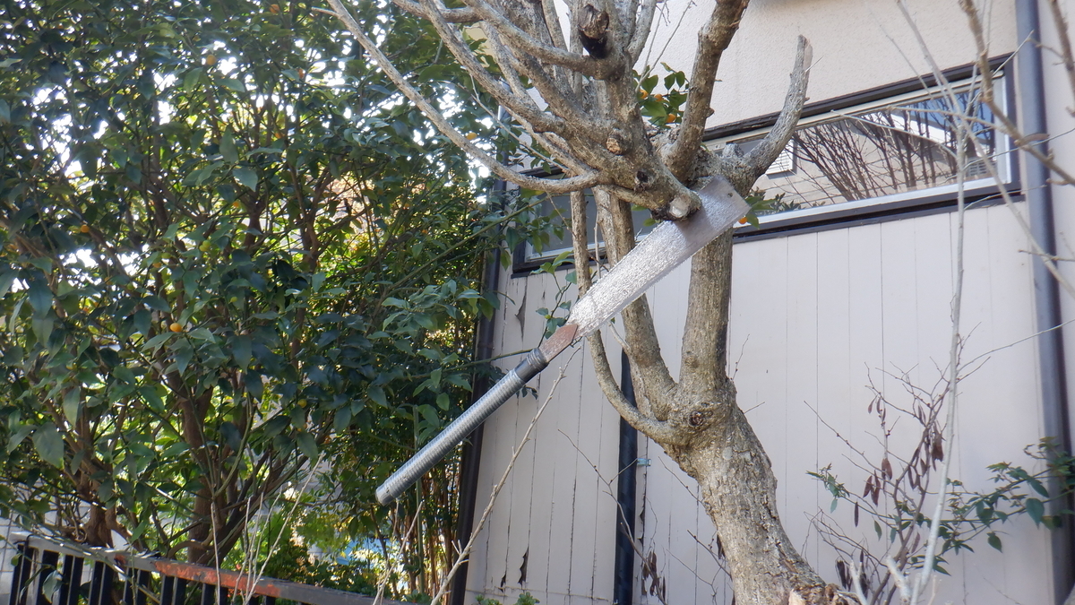 f:id:cafelegume:20220315213816j:plain