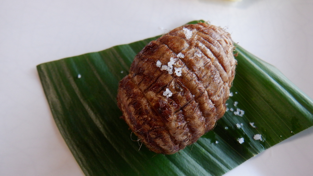 f:id:cafelegume:20220315220819j:plain