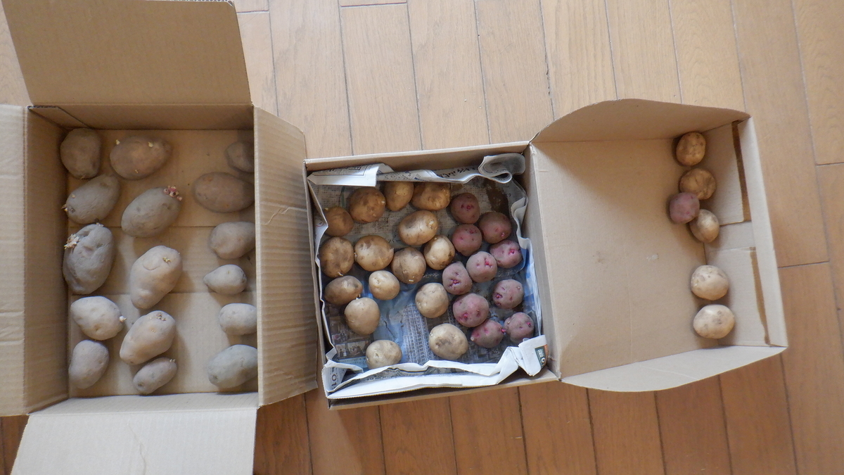 f:id:cafelegume:20220319190204j:plain