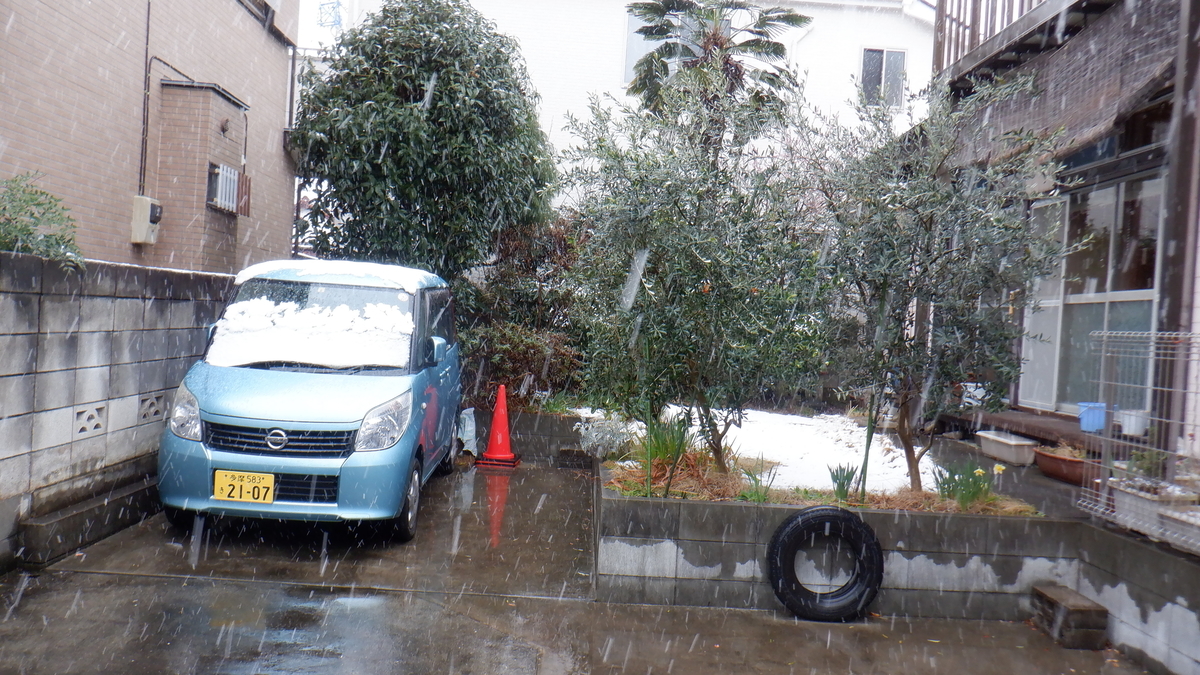 f:id:cafelegume:20220322204522j:plain