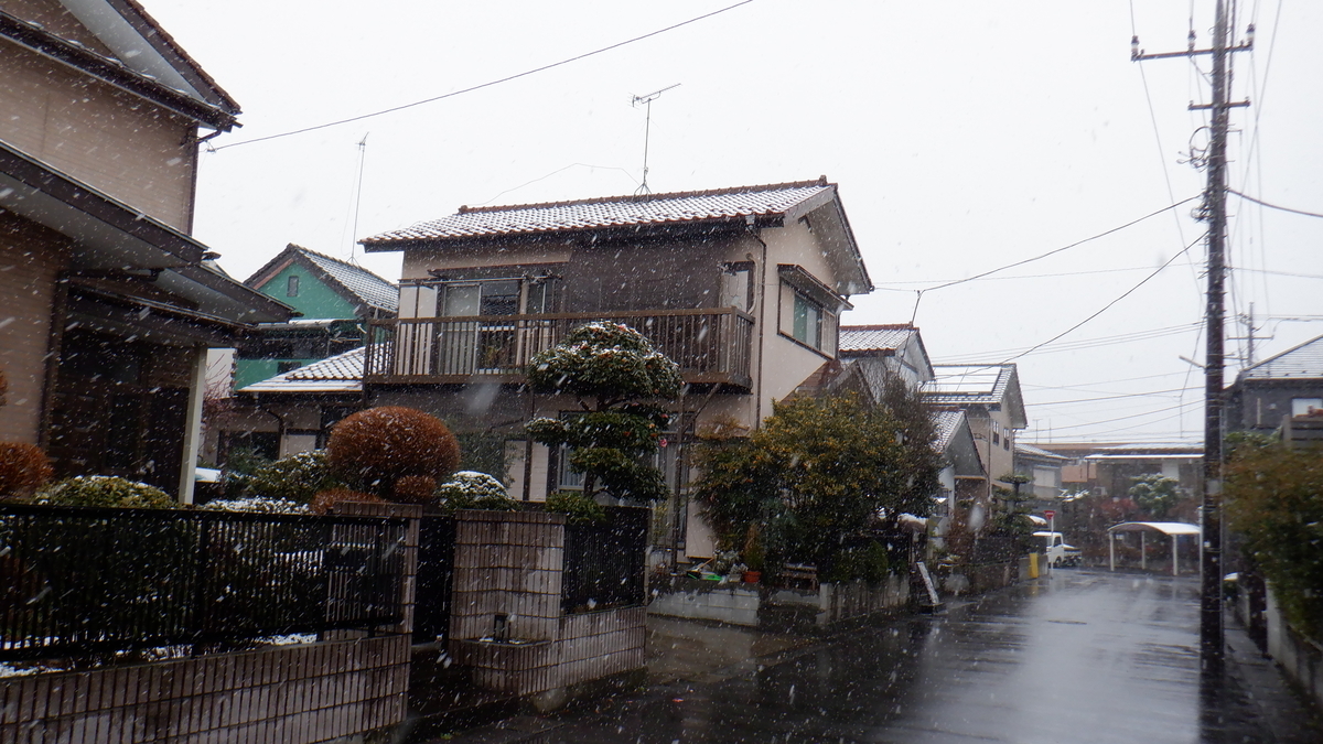 f:id:cafelegume:20220322205146j:plain