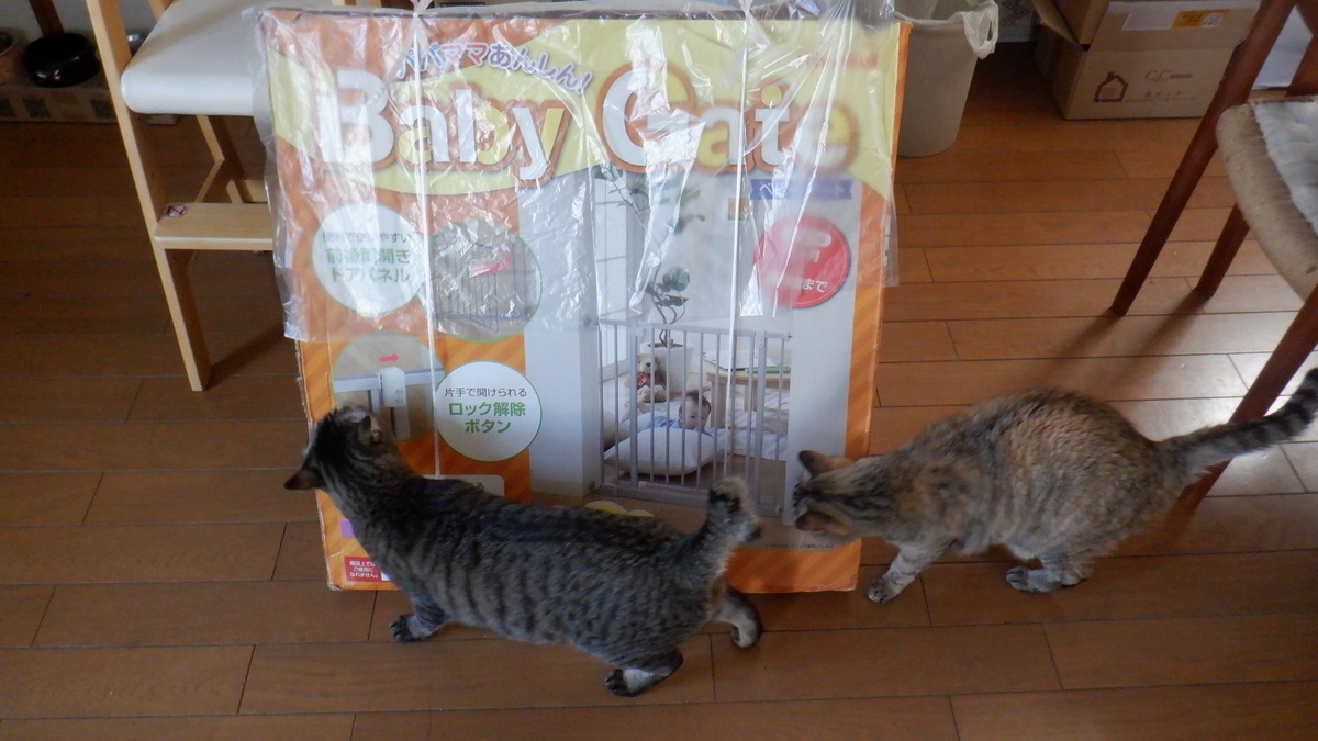 f:id:cafelegume:20220401214714j:plain