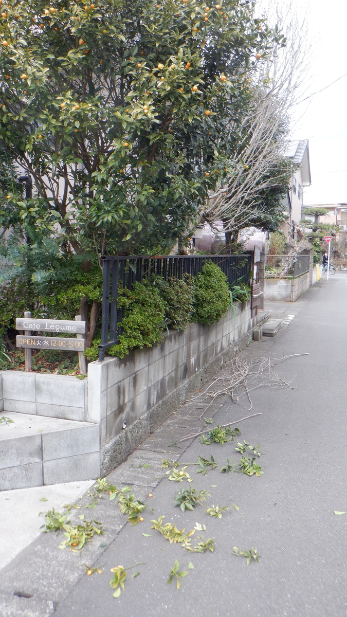 f:id:cafelegume:20220405223036j:plain