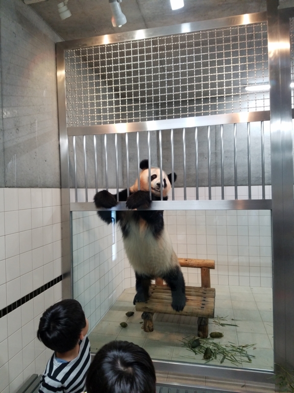 f:id:cafenoir-panda:20180526211509j:plain
