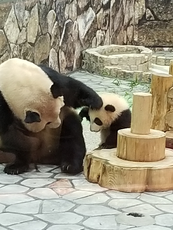 f:id:cafenoir-panda:20190421201249j:plain