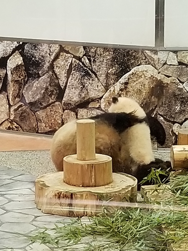 f:id:cafenoir-panda:20190421201307j:plain