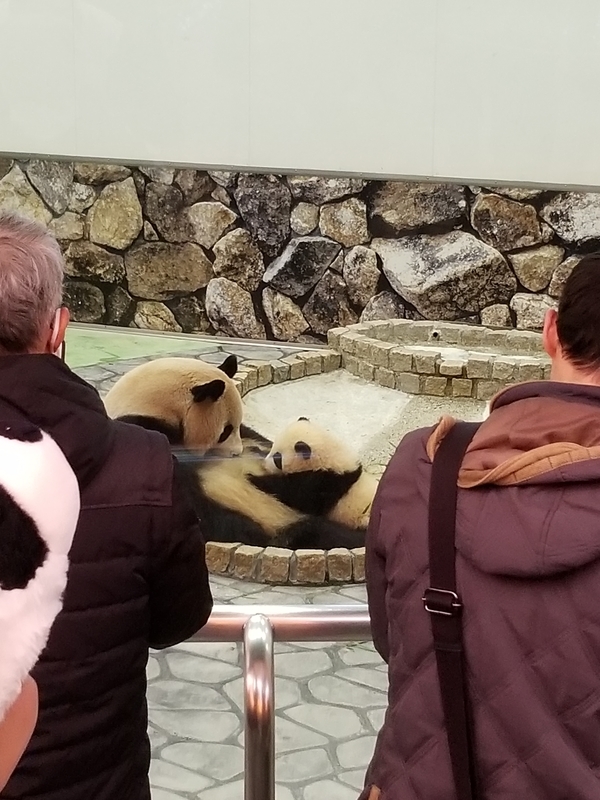 f:id:cafenoir-panda:20190421201310j:plain
