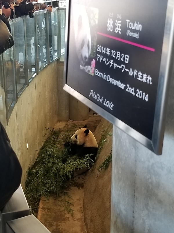 f:id:cafenoir-panda:20190421201319j:plain