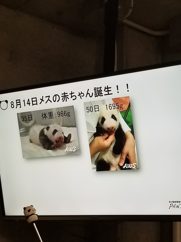 f:id:cafenoir-panda:20190421201324j:plain