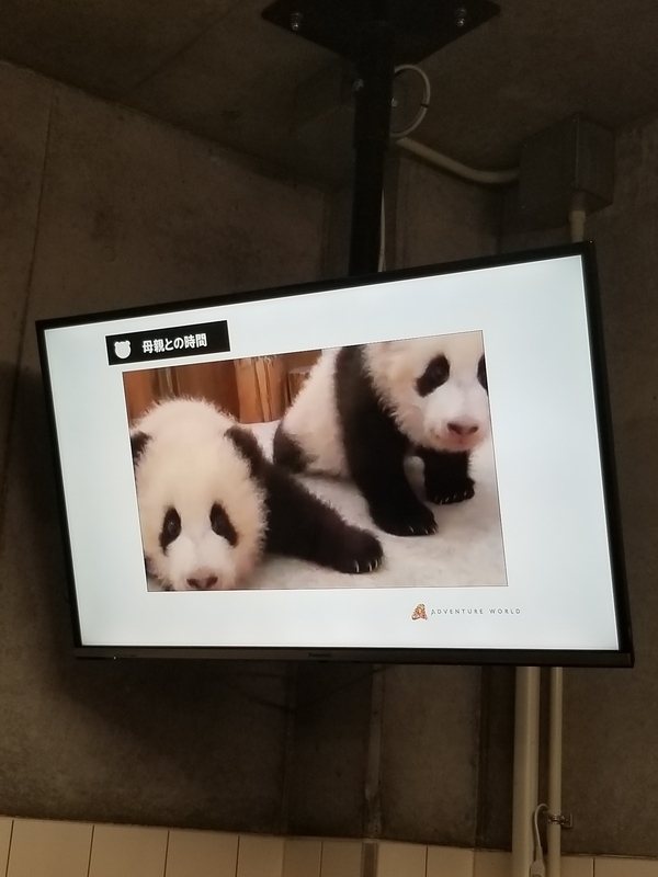 f:id:cafenoir-panda:20190421201325j:plain