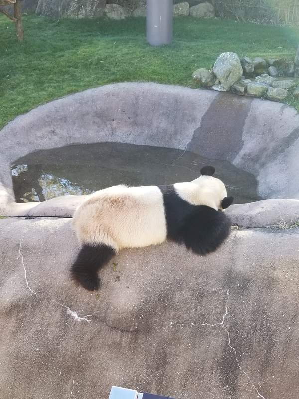 f:id:cafenoir-panda:20190421201326j:plain