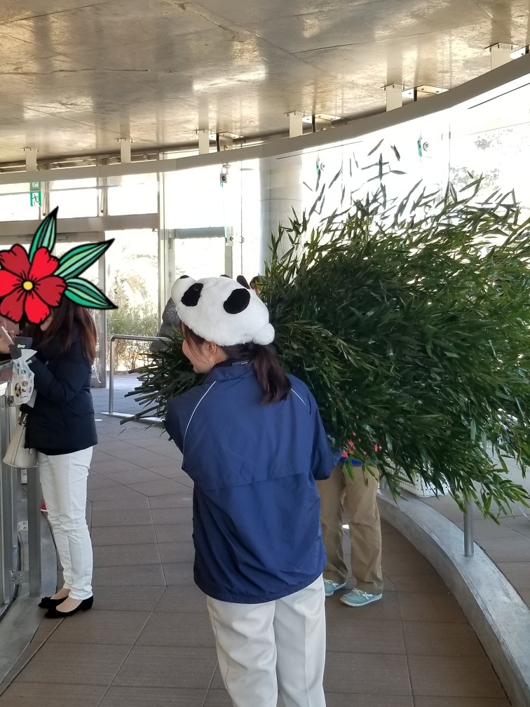 f:id:cafenoir-panda:20190428111745j:plain