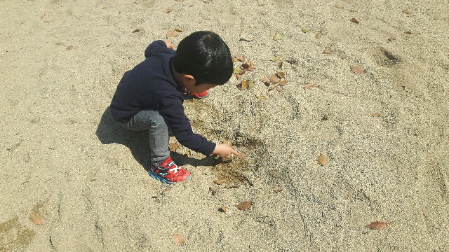 f:id:caffeumum:20170406102902j:image f:id:caffeumum:20170406102902j:image