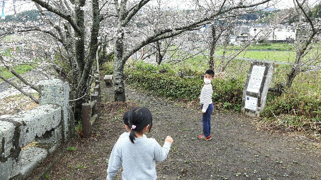 f:id:caffeumum:20170408081149j:image f:id:caffeumum:20170408081149j:image