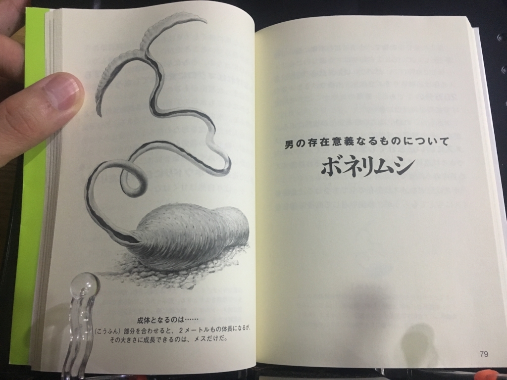 f:id:caffeyne:20170823223404j:plain f:id:caffeyne:20170823223404j:plain