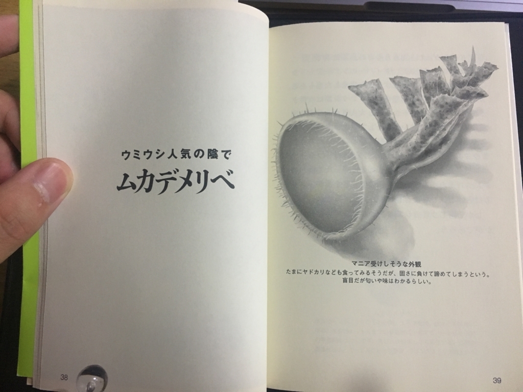 f:id:caffeyne:20170823223528j:plain f:id:caffeyne:20170823223528j:plain