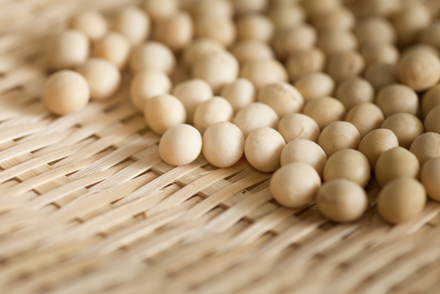 f:id:caffeyne:20181121212907j:plain f:id:caffeyne:20181121212907j:plain